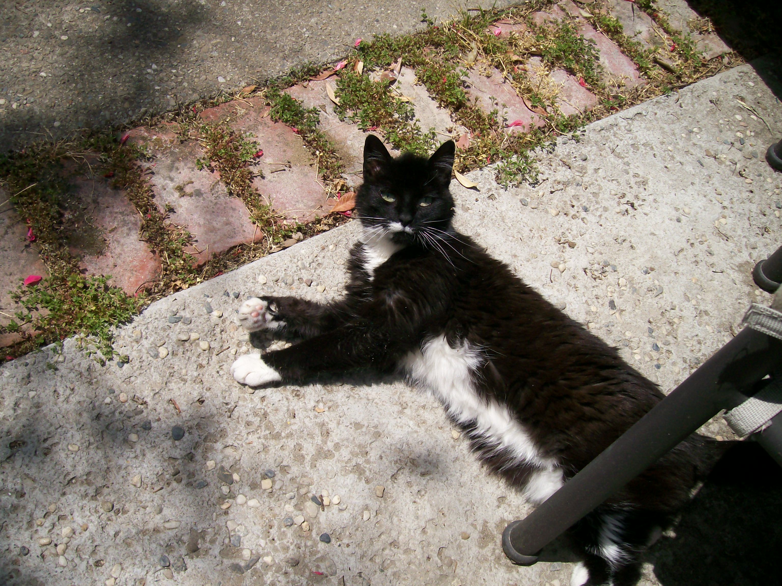 Jane Lying in the Sun